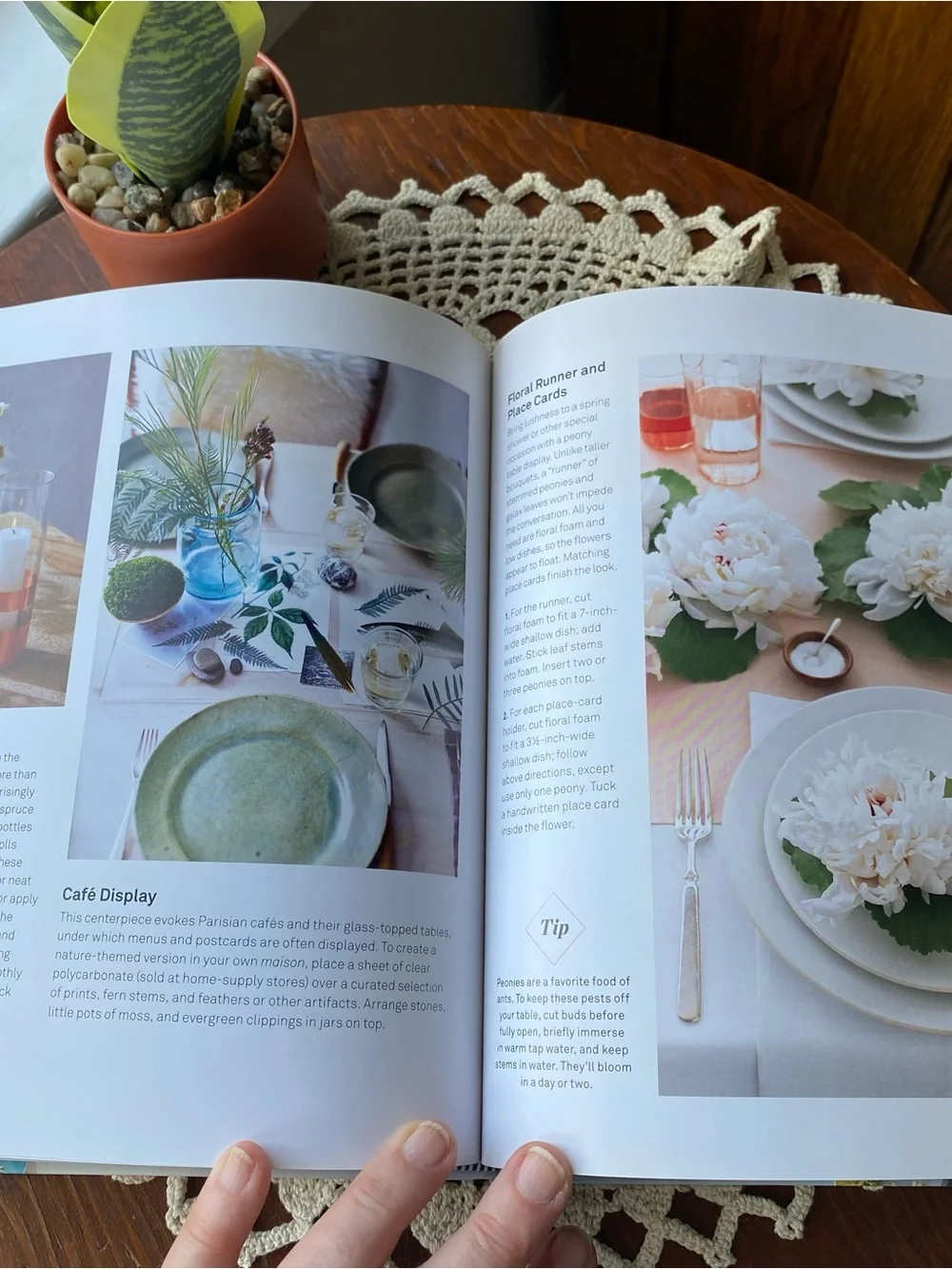 Martha Stewart Very Good Things – Teal and White Hardcover
